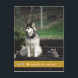 Friends Forever - carte postale chien & chat<br><div class="desc">Vous pouvez customiser presque tous mes designs alors amusez-vous!</div>