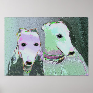 "Friends of a different color"   Poster