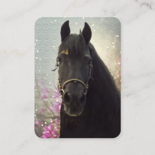 Friesian DIAMOND - Carte de visite