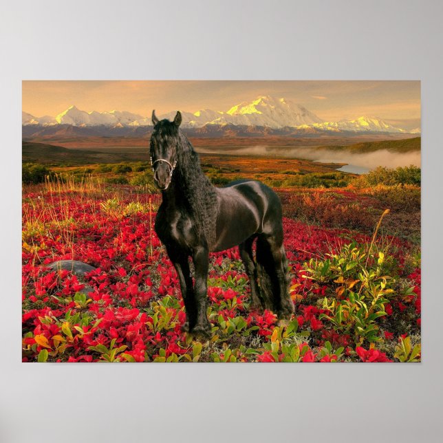 Friesian DIAMOND I - Poster (Devant)