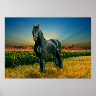 Friesian DIAMOND II - Affiche