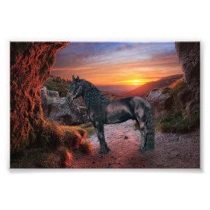 Friesian DIAMOND - Impression photo