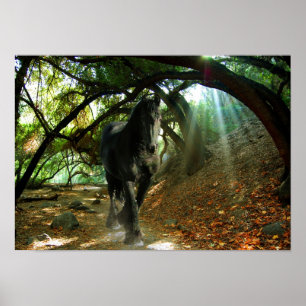 Friesian DIAMOND IV - Affiche