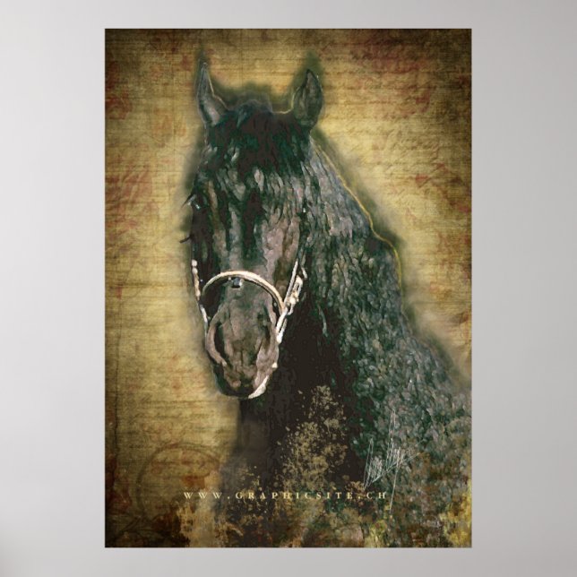 Friesian DIAMOND - Poster (Devant)