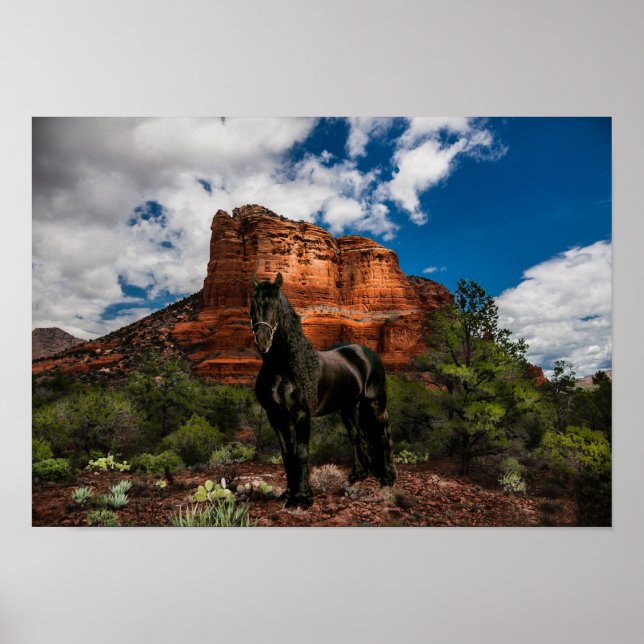 Friesian DIAMOND VI - Poster (Devant)