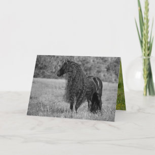 Friesian Horse Looks - Carte de voeux pour les che