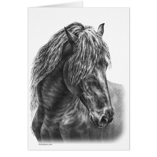 Friesian Horse Portrait Drawing par Kelli Swan (Devant)