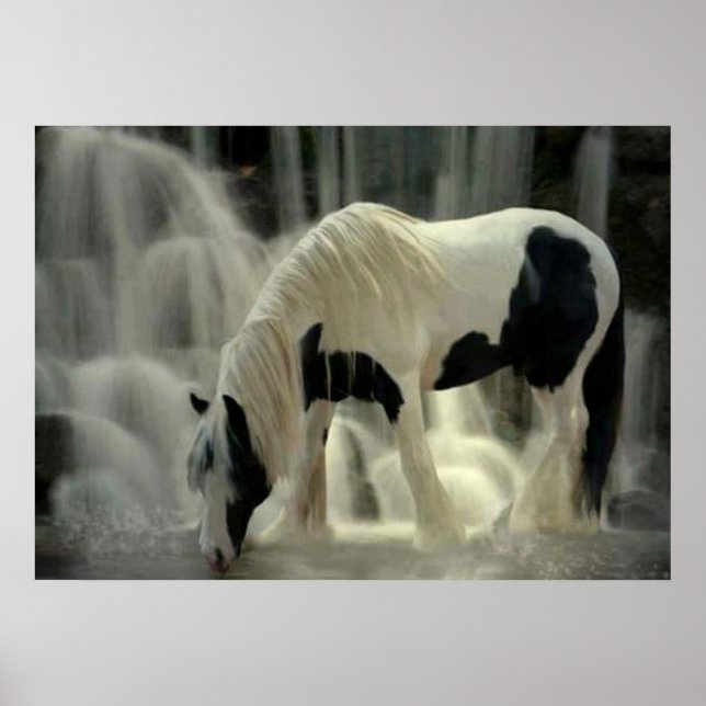 Frison, affiche Papier (mat) (Devant)