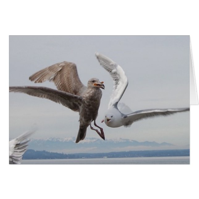 frites de liberté 2 (Devant horizontal)