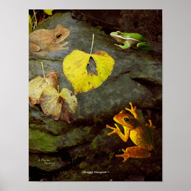 Frog Hangout Poster (Devant)
