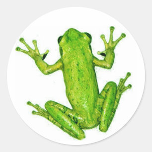 Frog Tropical Rainforest Tree Sticker Art
