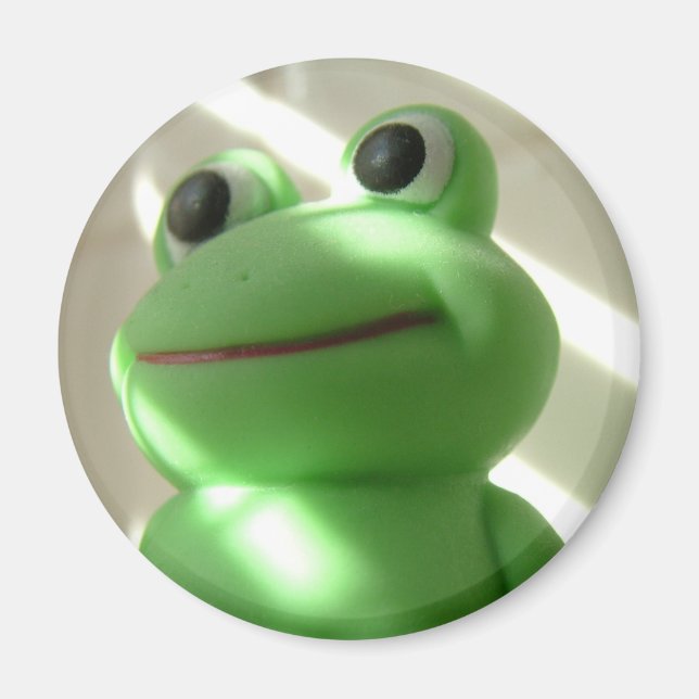 Froggy Super Fun Bath Time Magnet (Devant)