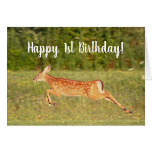 Frolicking Fawn Deer Animaux Custom Birthday Card