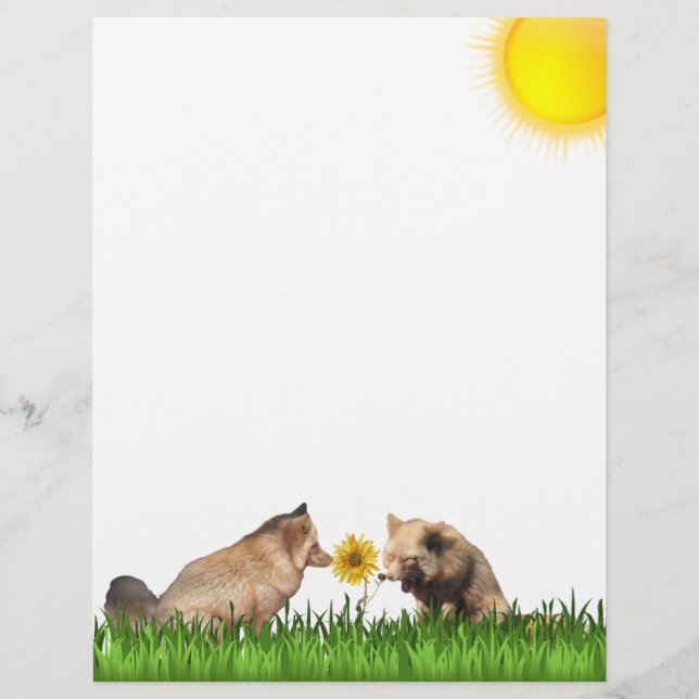 Frolicking Red Foxes avec la papeterie tournesol (Devant)