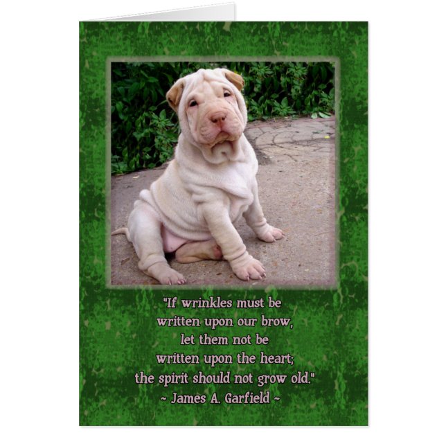 Front froissé (Devant)