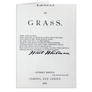 Frontispice au 'feuille des herbes