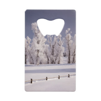 Frost a couvert les arbres et la barrière, le