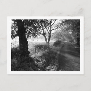 Frost d'automne en Cheshire Carte postale