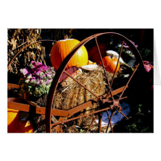 Frost sur le Citrouille