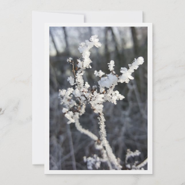 "Frostpoéie - Invitation avec branche de Raureif" (Devant)