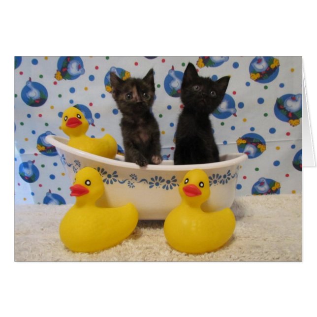 Frottez les minous et les canards d'une copie de (Devant horizontal)
