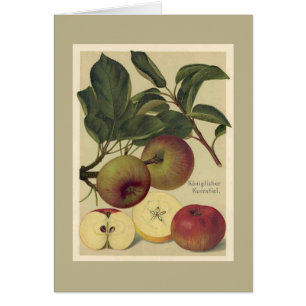 Fruit botanique de pommes