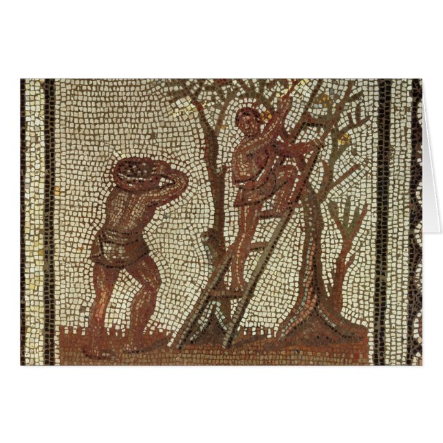 Fruit de cueillette, mosaïque romaine (Devant horizontal)