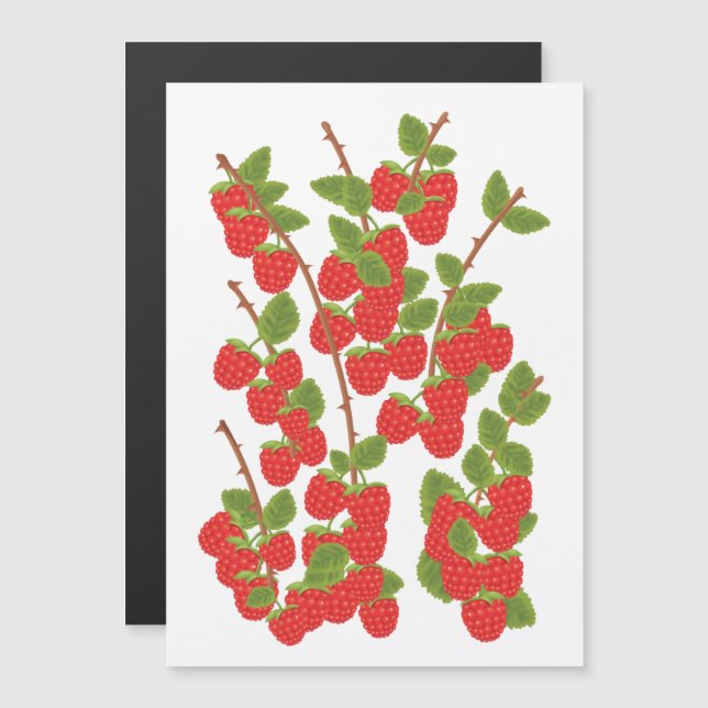 Fruit de framboise (Devant / Derrière)
