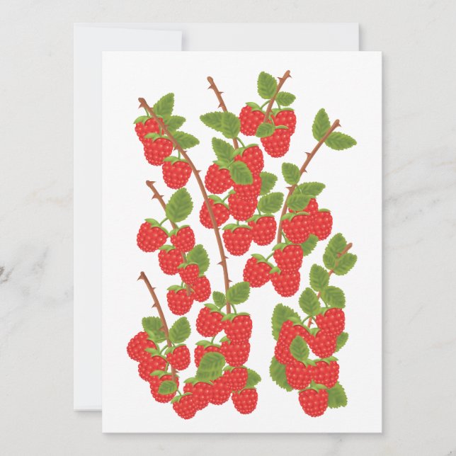 Fruit de framboise (Devant)