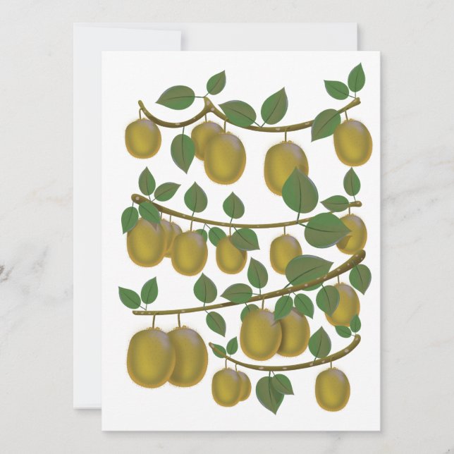 Fruit de kiwi (Devant)