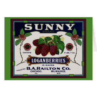 Fruit de Loganberry