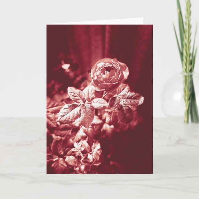 Fruit Parfuma Rose - Carte de remerciements (Devant)