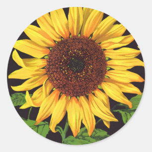 Fruit vintage Crate Étiquette Art Orangedale Tourn