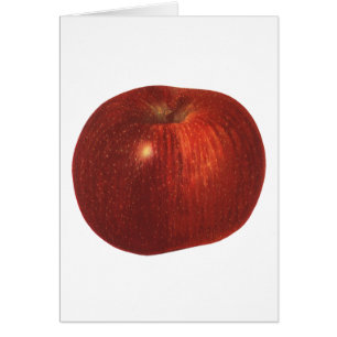 Fruit vintage, Pomme délicieuse Rouge bio