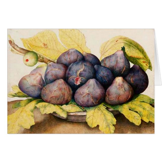 FRUITS DE SAISON / PLAQUE AUX FIGUES ET FEUILLES V (Devant horizontal)