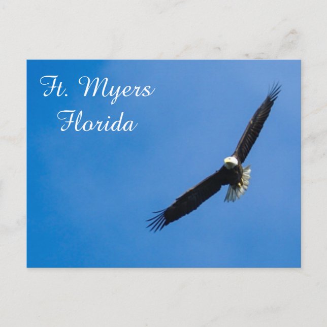 Ft. Carte postale Myers Bald Eagle (Devant)