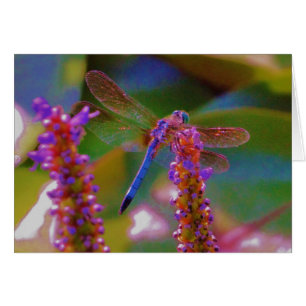 Fuchsia fleur et dragon mouche