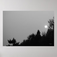 Fulfilment: Nature Zen/Tao Poster