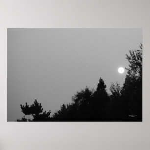 Fulfilment: Nature Zen/Tao Poster