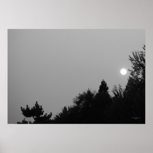 Fulfilment: Nature Zen/Tao Poster (Devant)