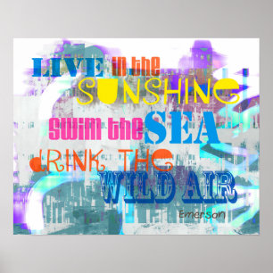 fun colorful poster live in the sunshine quote