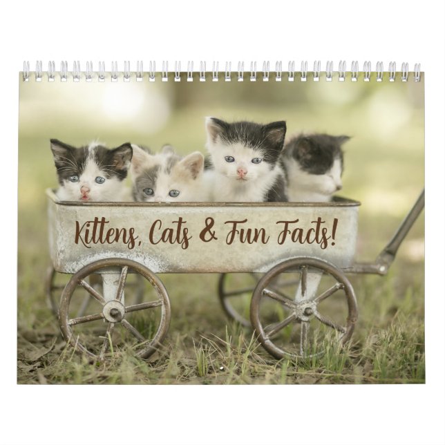 Fun Facts Kitten Cat Calendrier (Protection)