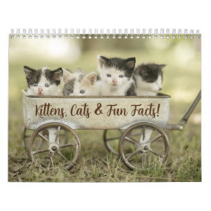 Fun Facts Kitten Cat Calendrier