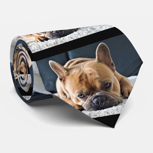Fun Querky Cute French Bulldog Cravate (Roulé)