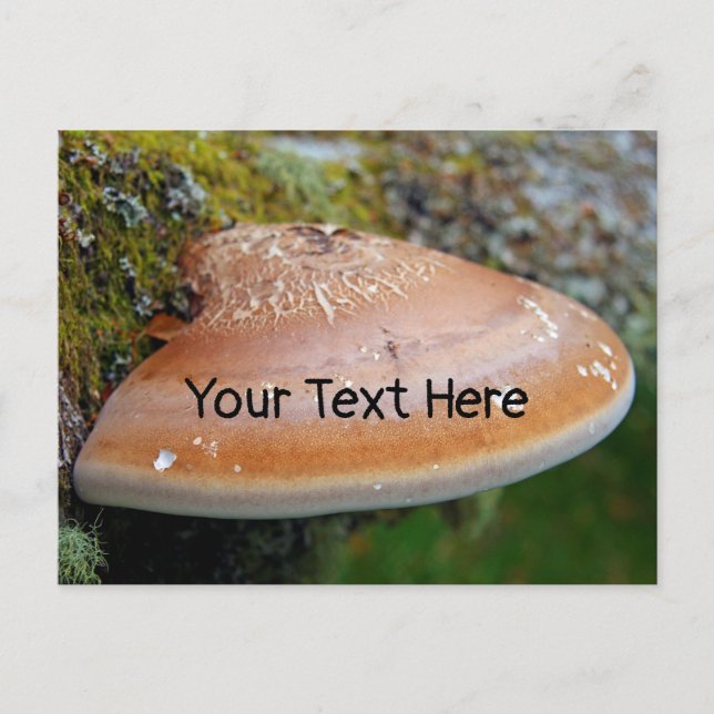Fungus de support personnalisable carte postale (Devant)