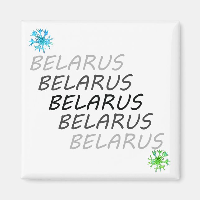 Funky Bélarus Беларусь Fleur de Maïs Magnet (Devant)