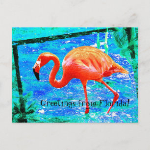Funky rose Floride flamingo carte postale voyage