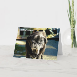 Funky Vieux Carlin Noir Carte Anniversaire