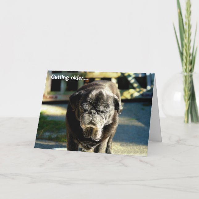 Funky Vieux Carlin Noir Carte Anniversaire (Devant)