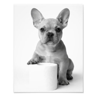 Funny Aesthetic French Bulldog Toilet Paper Photo